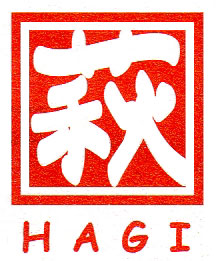 hagi001.jpg