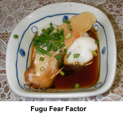 fugu_fear_factor.jpg