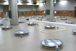 Brewing Room Tanks