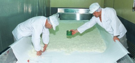 Sprinkling koji mold spores on steamed rice.  Photo: Â© Tentaka Shuzo.