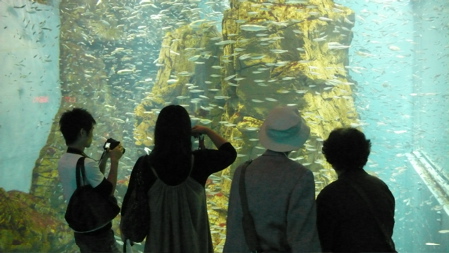 Osaka's Amazing Aquarium