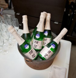 Dassai Sake tasting event at Brooklyn Kitchen