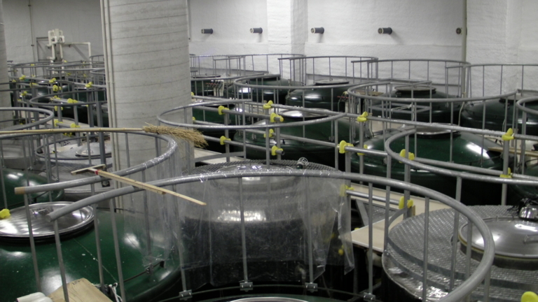 SANY0070 34707 768x432