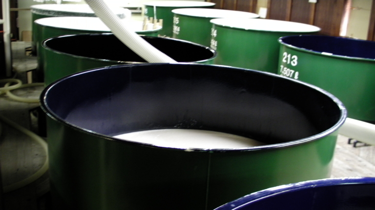 SANY0187 34824 768x432