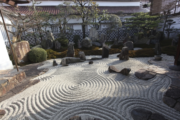 seijo kamoizumi379 768x512