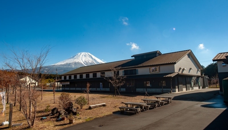 fujiyama 768x439